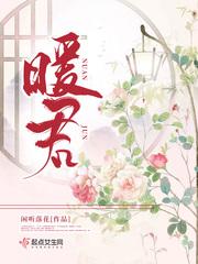 暖君的全部番外