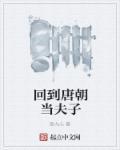 回到唐朝做太子