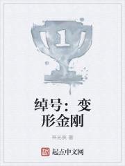变形金刚名称
