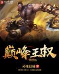 王权弘业巅峰