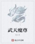 仙武帝尊天魔是什么