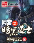网游之黑暗道士有女主吗