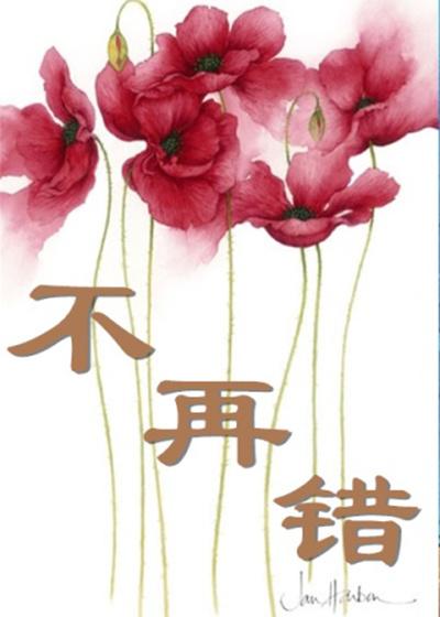 不再错过不留遗憾影评