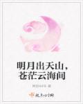 明月出天山苍茫云海间打一动物