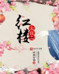 红楼官宦