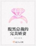 腹黑总裁的美娇娘