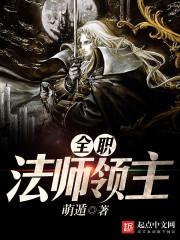 全职法师领域介绍