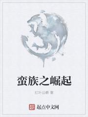 蛮族崛起第一季超清