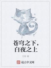 苍穹之下后一句