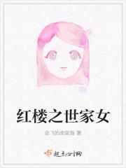 红楼之继