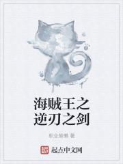 海贼王之剑指巅峰全文阅读