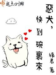 民国高质量宠文