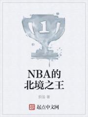 nba北境之王免费阅读