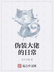 伪装大佬受