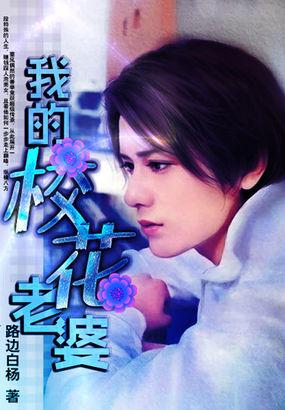 鹿鼎记最强高手
