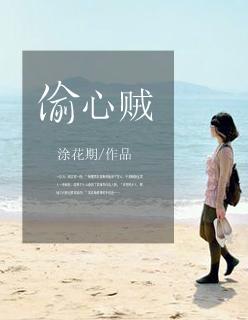偷心贼广场舞28步加长版