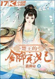 王爷的金牌宠妃