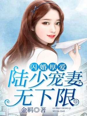 闪婚后陆少宠妻成瘾