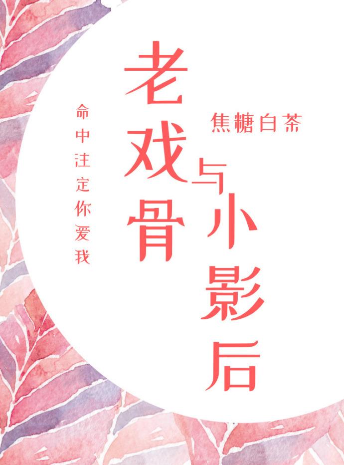 老登是啥意思