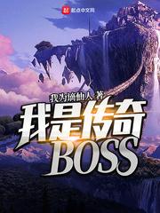 我是传奇BOSS 原著