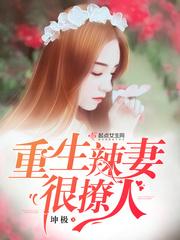 重生之辣妻很撩人