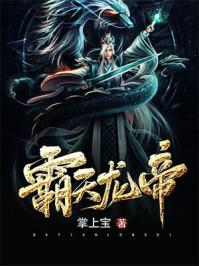 霸天龙帝免费阅读原文