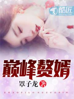 巅峰赘婿txt