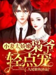 新小妻太娇嫩袅爷轻点宠
