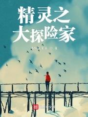 奥迪大探险家