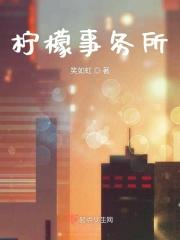 柠檬投资有限公司