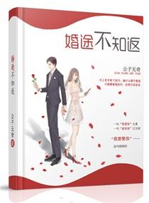 婚途不知返晋江