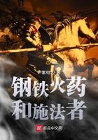 钢铁火药和施法者 优书