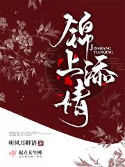 锦上添花前半句
