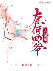 奈何四爷太傲娇了免费