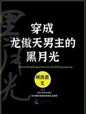 穿成龙傲天文男配