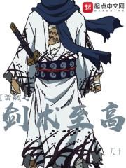 海贼王之至高剑豪
