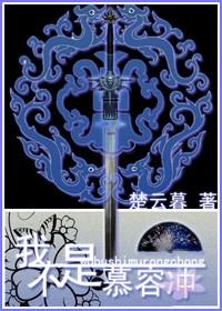 我不是慕容冲by