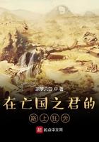 大明我是五好太子起点