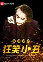 小丑皇的大海贼时代