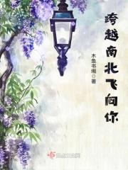 跨越山峰歌词