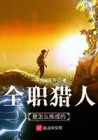 全职猎人到哪了
