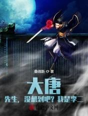 大唐我弄没了李二的皇位
