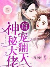 娇宠甜妻神秘老婆是富豪