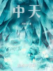 中天电视台