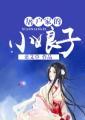 屠户家的小娘子圆房