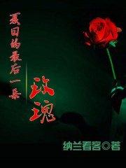 夏日的最后一朵玫瑰刘继明原文