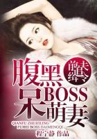 前夫追妻忙免费阅读