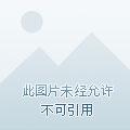 末日大逃亡结局