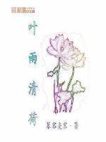 女主叫叶荷的都市
