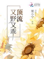 顶流又野又乖全文免费阅读